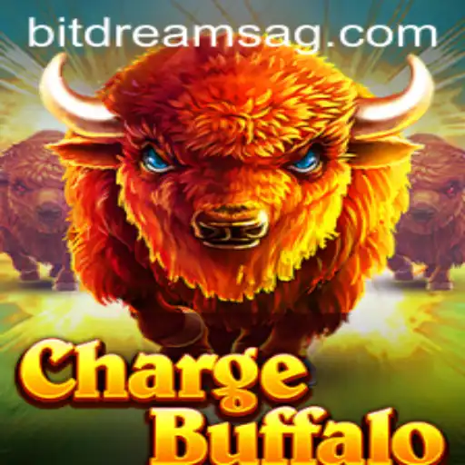 Exploring the Excitement of ChargeBuffalo
